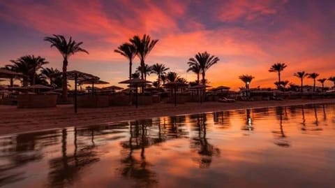 Domina Bay affitti&rents Copropriété in Sharm El-Sheikh