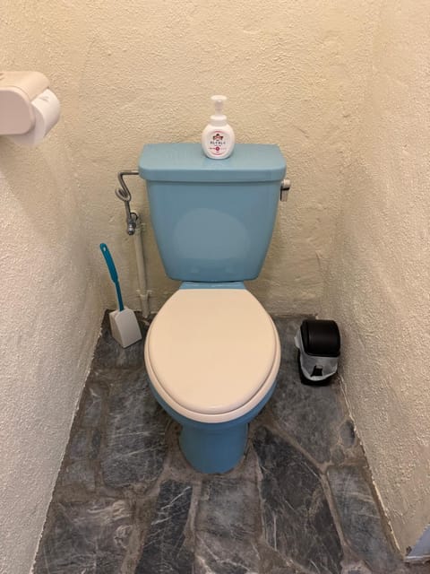 Guesthouse Iyonchi Chambre d’hôte in Okinawa Prefecture