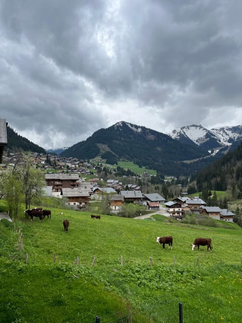 Natural landscape, Mountain view