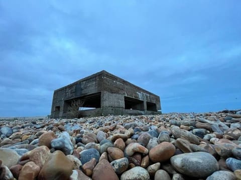 Little Tern - Rye Harbour - Games room & Office House in Rother District