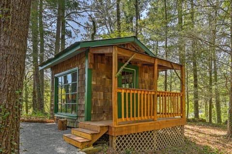 Unique Cabin With Hot Tub Close to Town House in Asheville