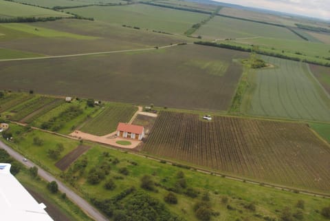 Bird's eye view, Garden