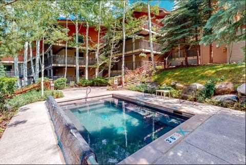 Enclave 201, Snowmass Ski-In/Ski-Out Condo w/Shared Pool/Hot Tub/Gym/WiFi House in Snowmass Village