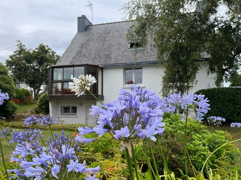 Property building, Garden, Garden view