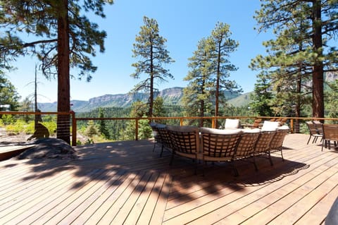 1831 Lake Purgatory Drive House in La Plata County