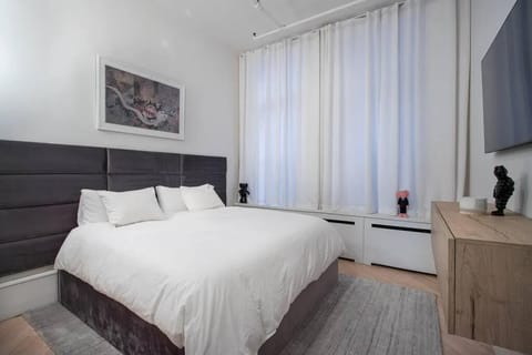 Luxurious 2 Bedroom Loft Entire Apartment Apartment in Union Square