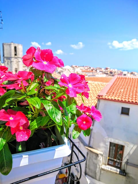 Balcony/Terrace, City view, Landmark view, Sea view