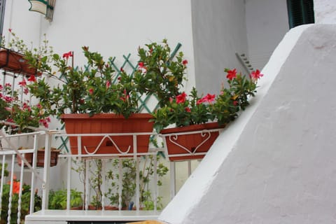 Casa Vacanze Nonna Raffa Condominio in Amalfi