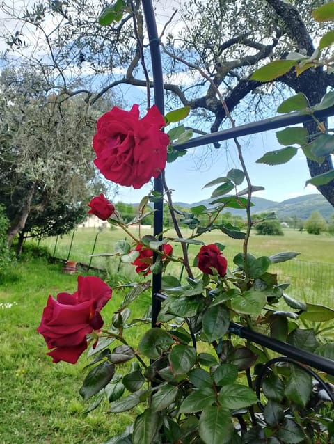 La Tua Dimora tra le Cinque Terre e le Alpi Apuane House in Sarzana
