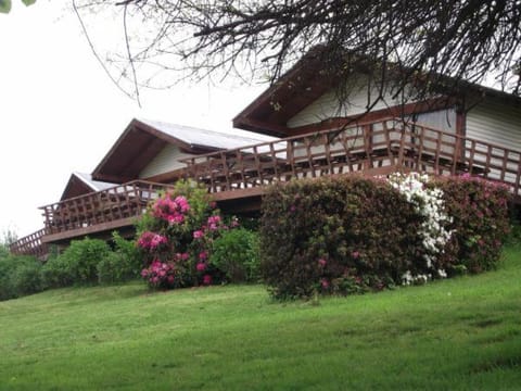 Cabañas Parque Del Lago Nature lodge in Los Ríos, Chile