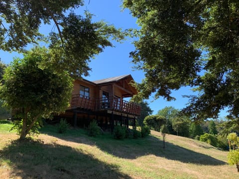 Cabañas Parque Del Lago Nature lodge in Los Ríos, Chile