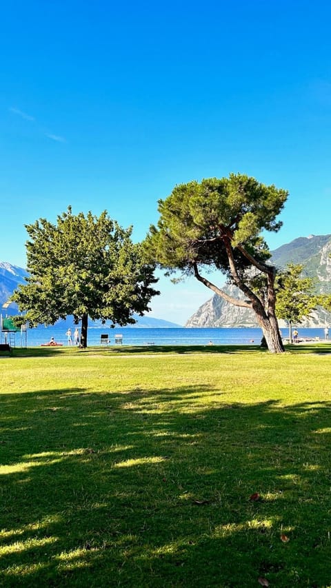 Beach, Lake view