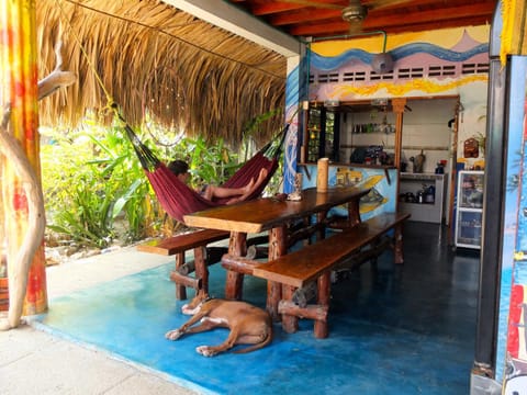 Casa Surf Mar Azul Bed and Breakfast in Magdalena, Colombia