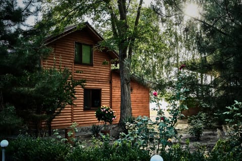 Facade/entrance, Garden, Garden