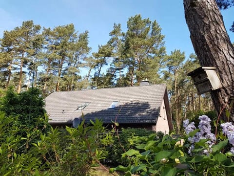 Ferienhaus am Dünenwald - DH House in Lubmin