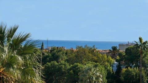 Meerblick-Villa, großer Pool, Palmengarten, nur 850m zu Strand und City bis 12 Personen House in Fuengirola