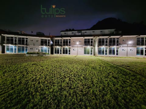 Property building, Night, Garden