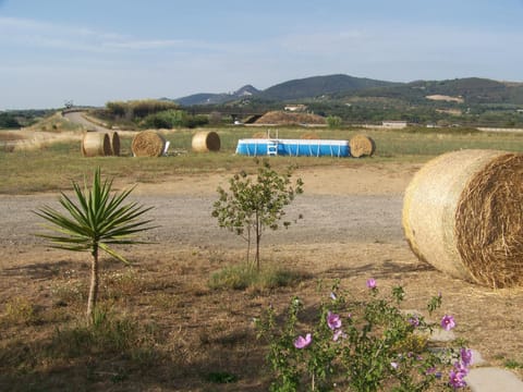 Agriturismo La Nocciolina Soggiorno in fattoria in San Vincenzo