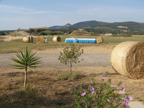 Agriturismo La Nocciolina Estadia em quinta in San Vincenzo