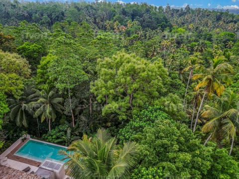 Natural landscape, Garden view, Pool view, Swimming pool