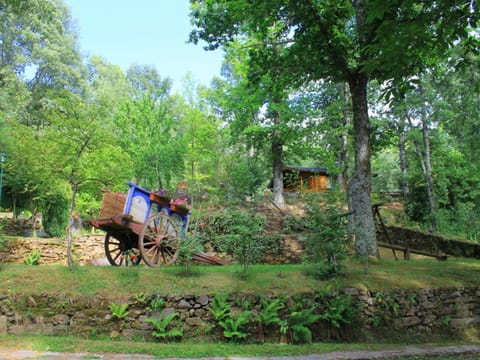 View (from property/room), Area and facilities