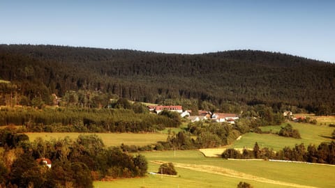 Neighbourhood, Natural landscape, Hiking