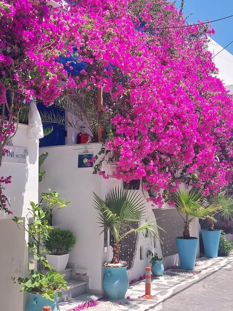Doron Hotel Delfini Hotel in Naxos
