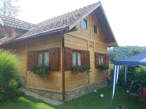 Property building, Facade/entrance, Garden