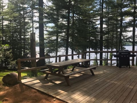 Well-appointed ADK cabin directly on 106’ water! Maison in Bellmont