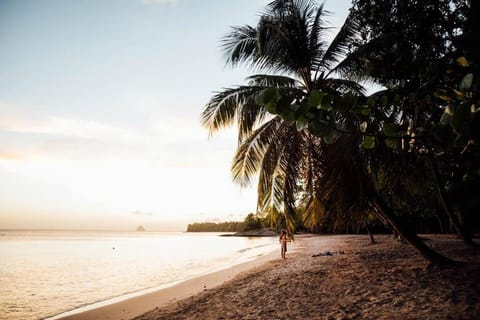 Natural landscape, Beach, Sunset