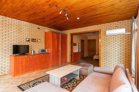 Living room, Photo of the whole room