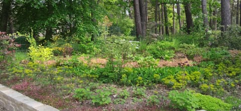 Maison Daubigny House in Fontainebleau