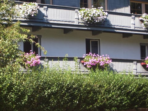 Meckyheim Apartment in Mayrhofen