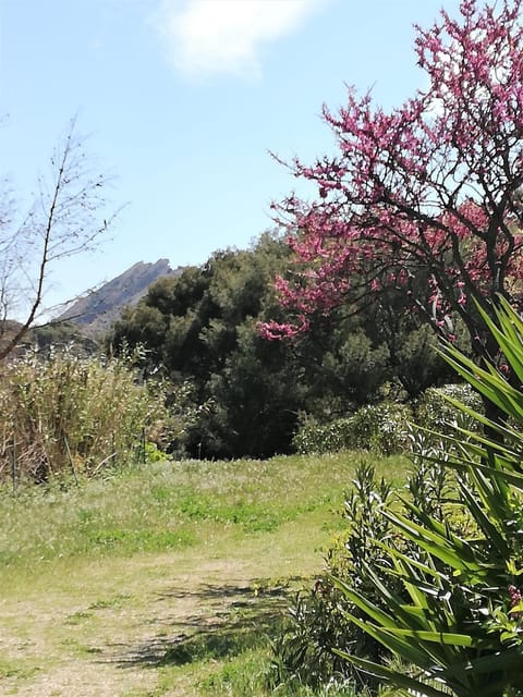 Property building, Day, Natural landscape, Garden view, Garden view