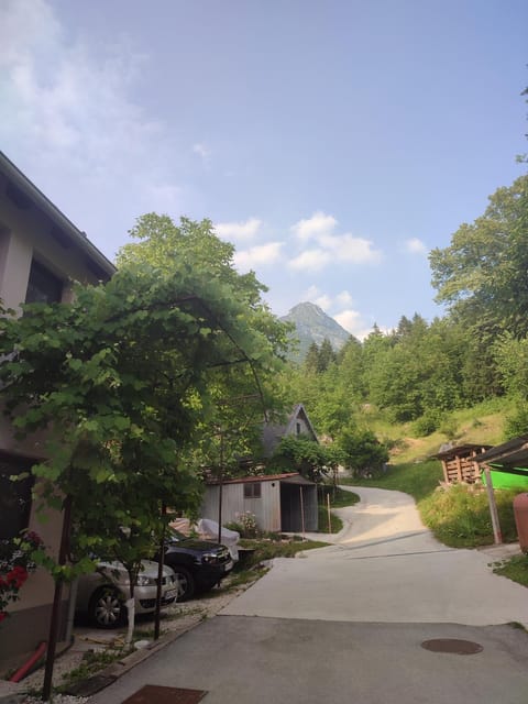 Neighbourhood, Natural landscape, Mountain view