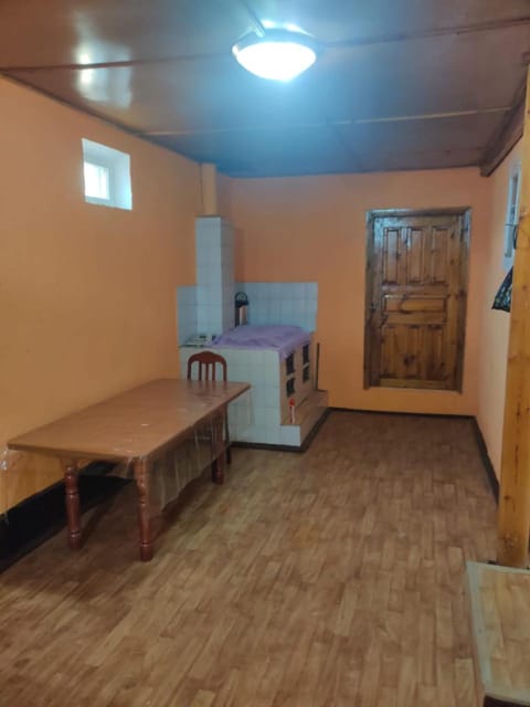 Summer, Kitchen or kitchenette, Photo of the whole room, Dining area