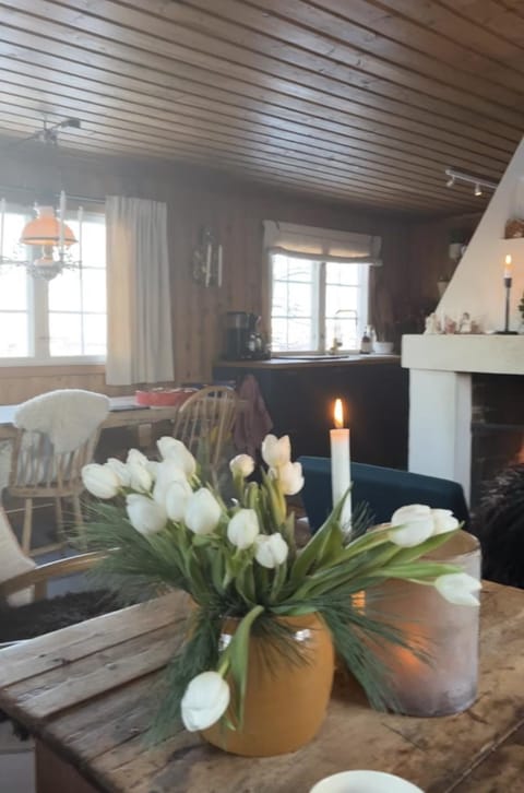 Cozy family friendly cabin at beautiful location! House in Geilo