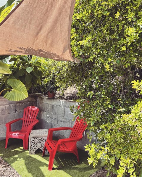 Garden, Solarium, Garden view