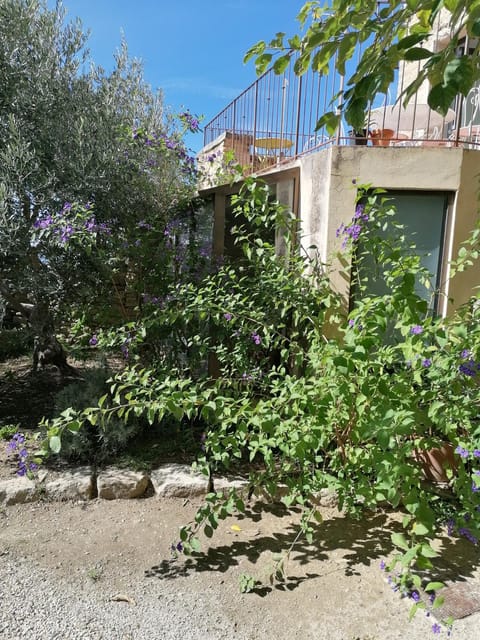 Chambre d'hôte Bed and Breakfast in Bédoin