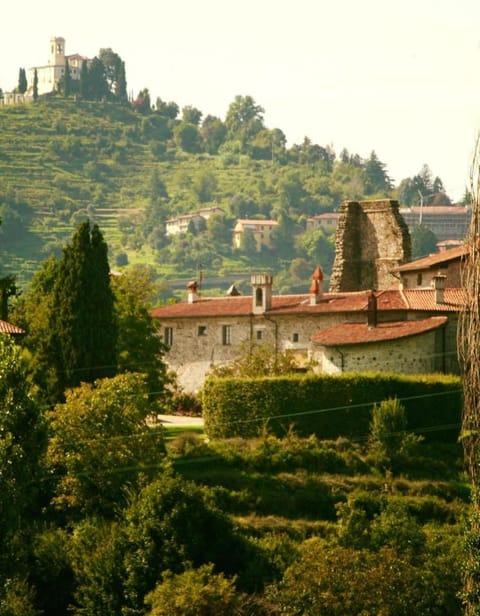 Property building, Nearby landmark, Garden