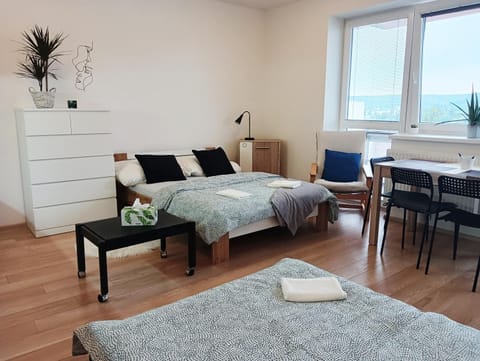 Apartman Bystrc Apartment in Brno