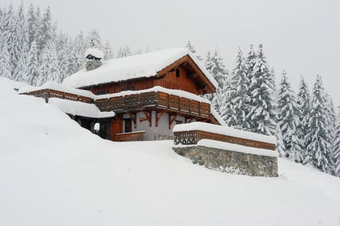 Property building, Natural landscape, Winter, View (from property/room)