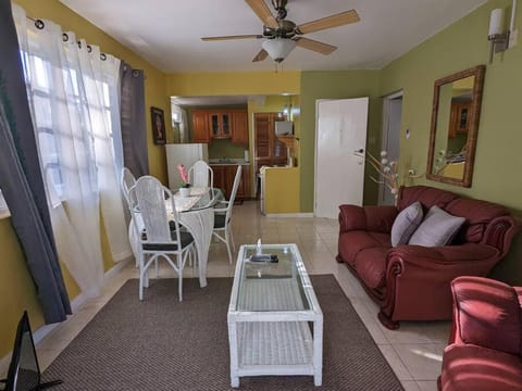 Relaxing Space with an Awesome View Apartment in St. Ann Parish