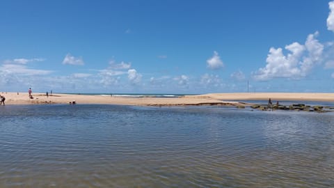 Sitio Ilha do Meio Haus in State of Bahia