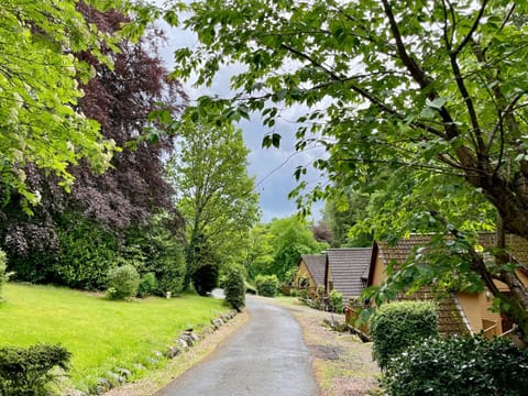 Natural landscape, Garden