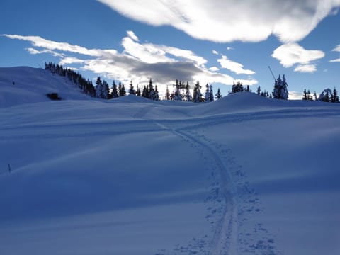 Natural landscape, Winter, Skiing