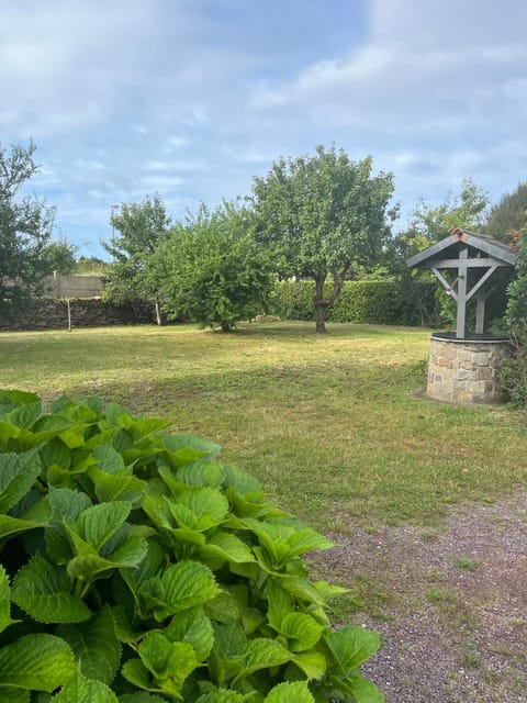 Garden, Garden, Garden view