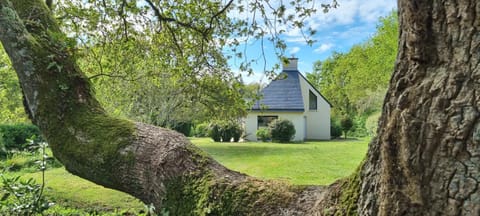 Property building, Garden, Garden view