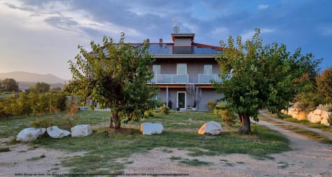 Property building, Day, Natural landscape, Garden, Garden view