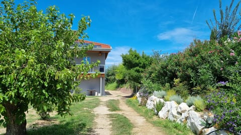 Property building, Spring, Day, Garden, Garden view